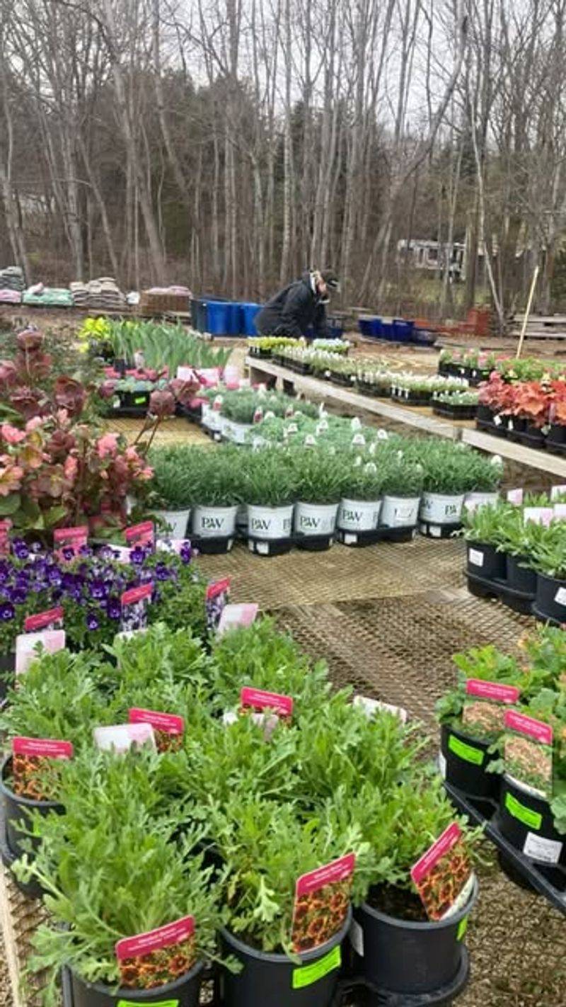 Environmental Benefits Of Preordering