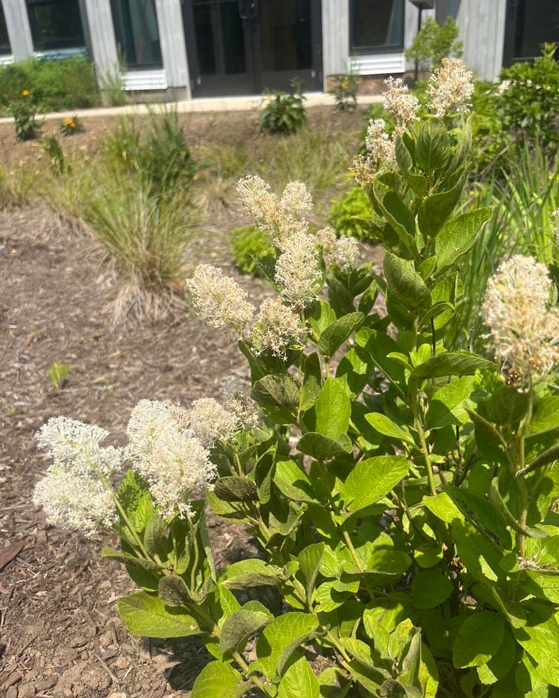 Long-Term Impact on Property Value