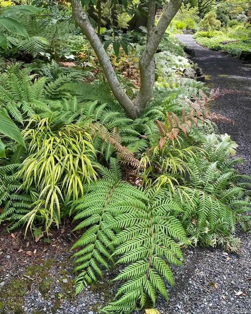 Peaceful Atmosphere Provides Mental Health Benefits