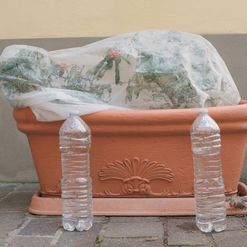 Water Containers Before Freeze Events