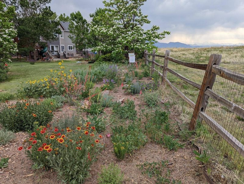 Native Vegetation Requires Special Handling