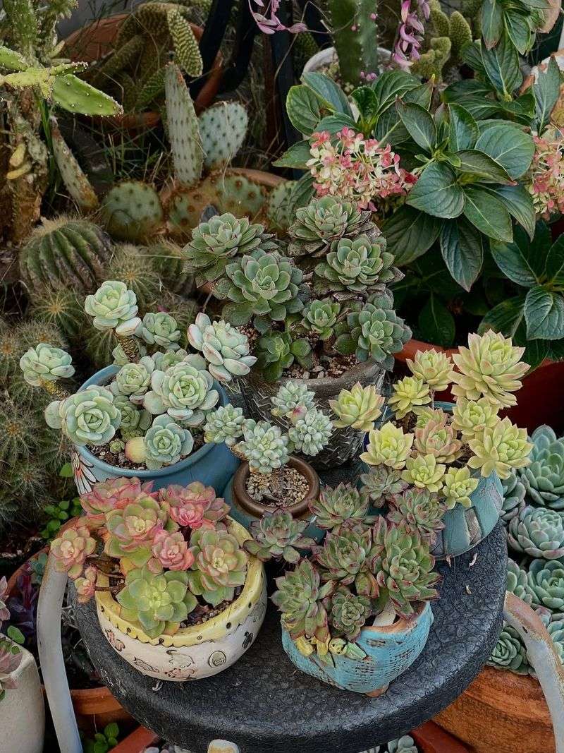 Group Containers Together For Shared Warmth