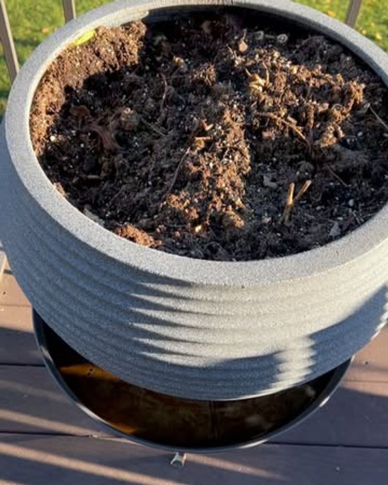 Apply Mulch Layers to Insulate Soil