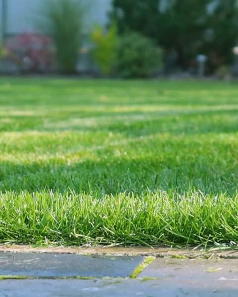 Maintain Proper Lawn Care Practices