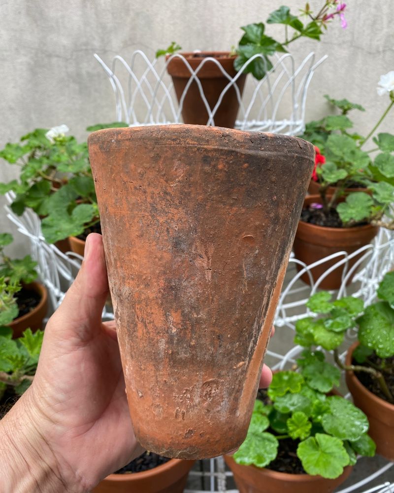 Easy To Find And Collect Throughout Georgia