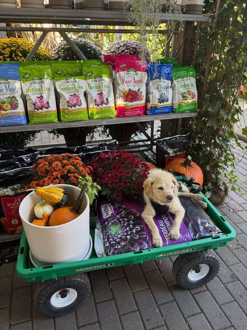 Stores Are Less Crowded