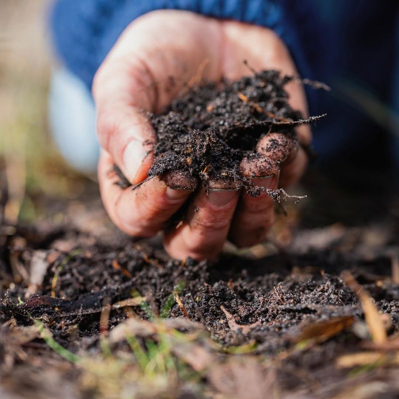 Building Healthier Soil Every Year