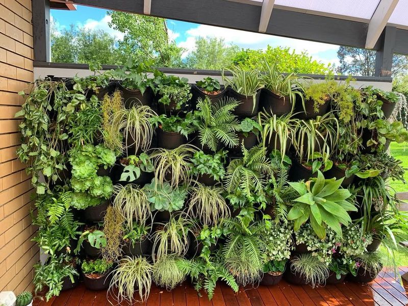 Mental Health And Wellness Benefits Gain Recognition