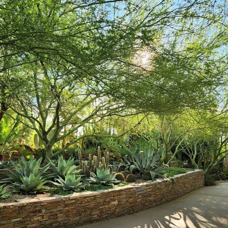 Improved Social Connections in Neighborhood Communities