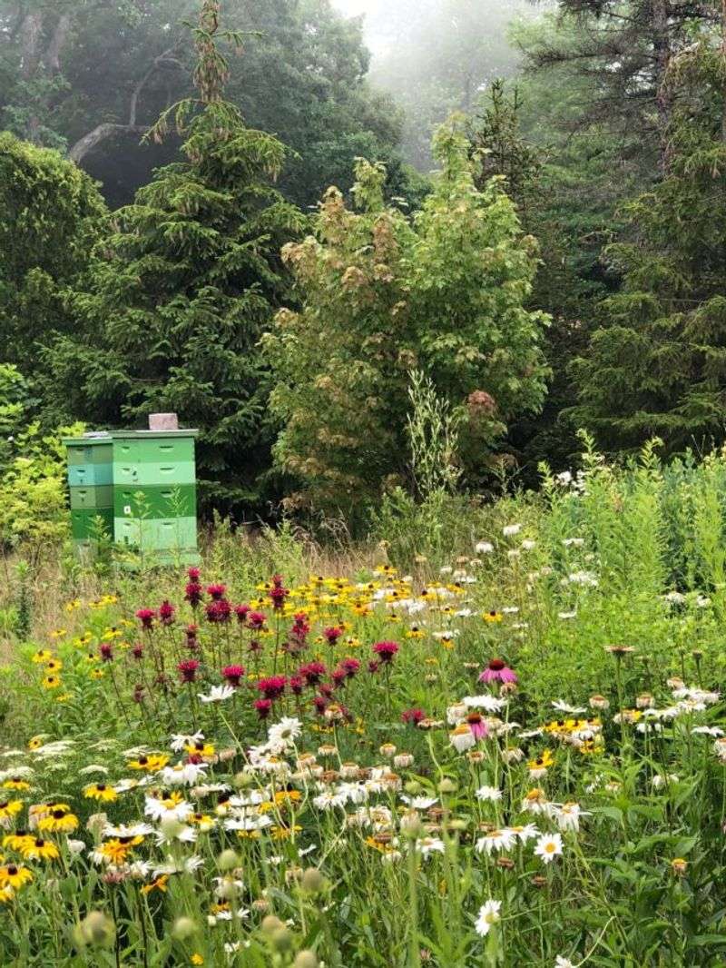 Fits Perfectly With Virginia's Growing Interest In Natural Gardening