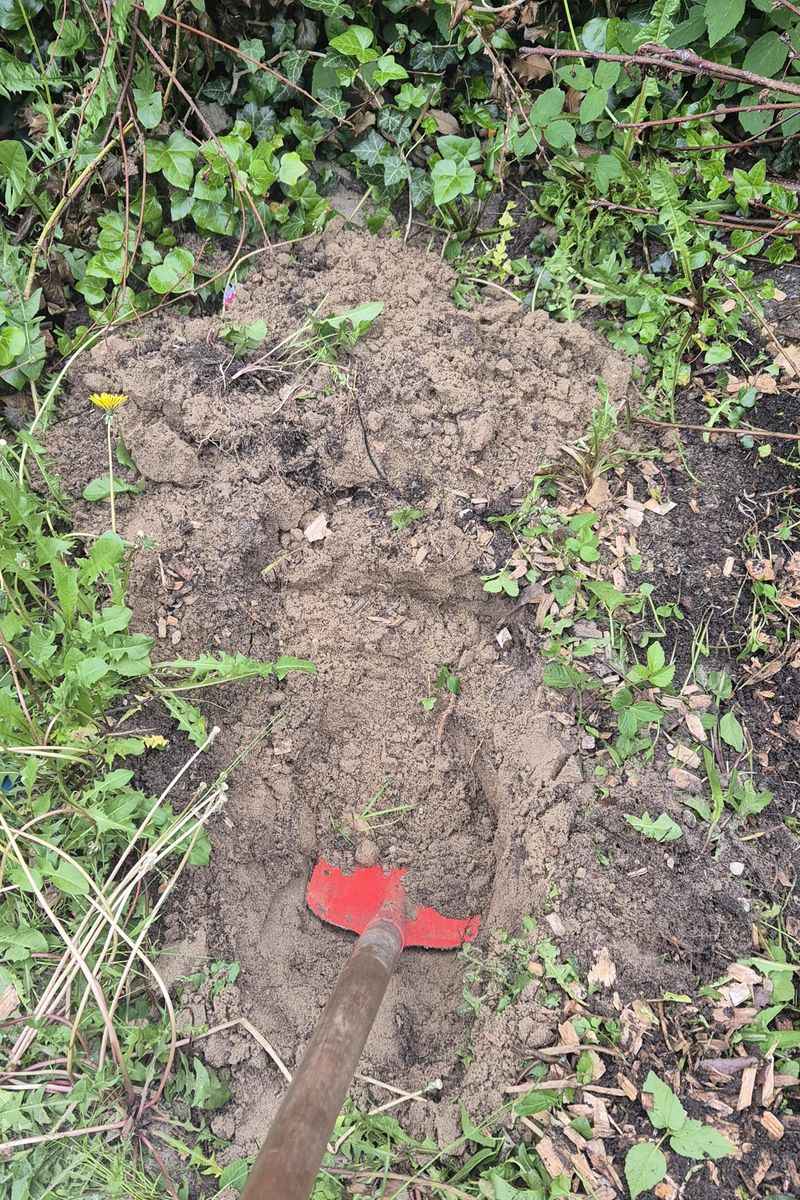 Prevents Magnesium Deficiency in Sandy Georgia Soils