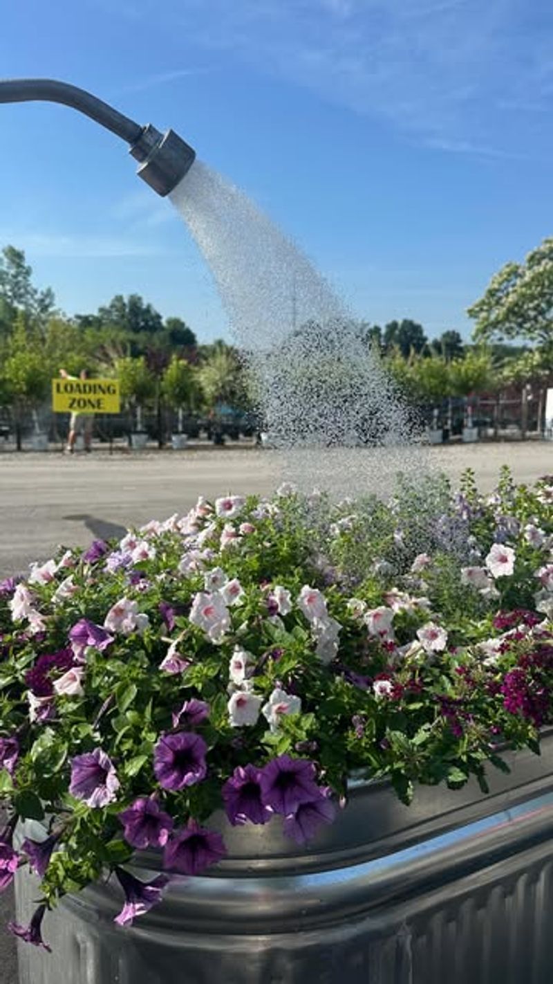 Establishing Consistent Evening Routines for Better Sleep