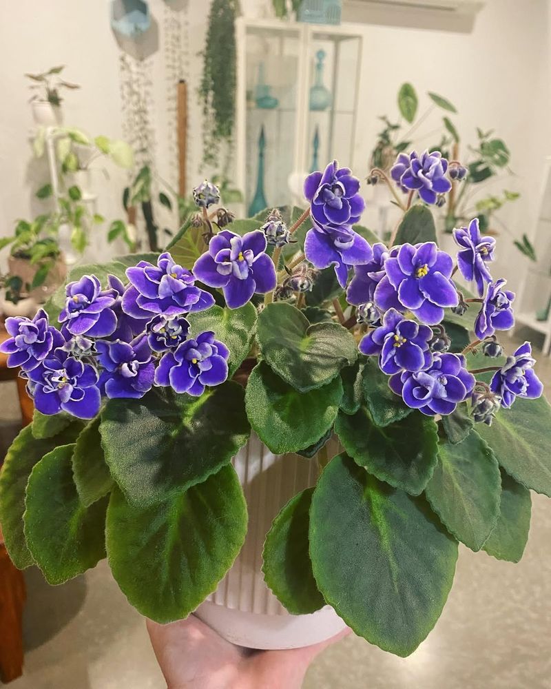 Provide A Rest Period