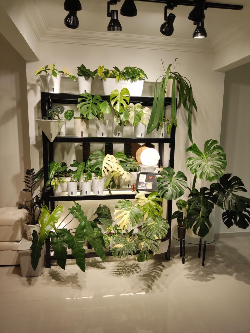 Plan For Easy Watering And Drainage Access