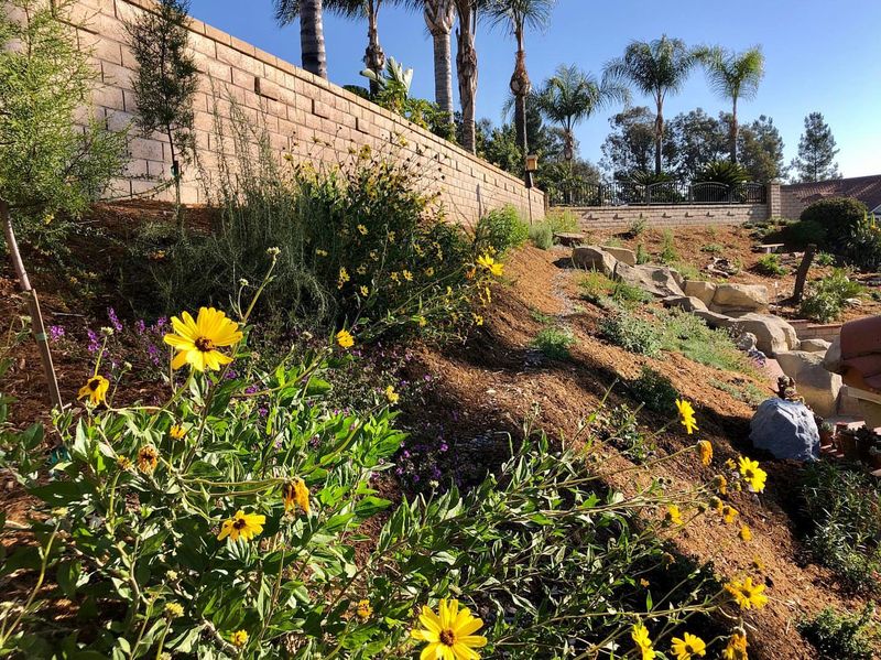 Year-Round Beauty Provides Constant Visual Interest