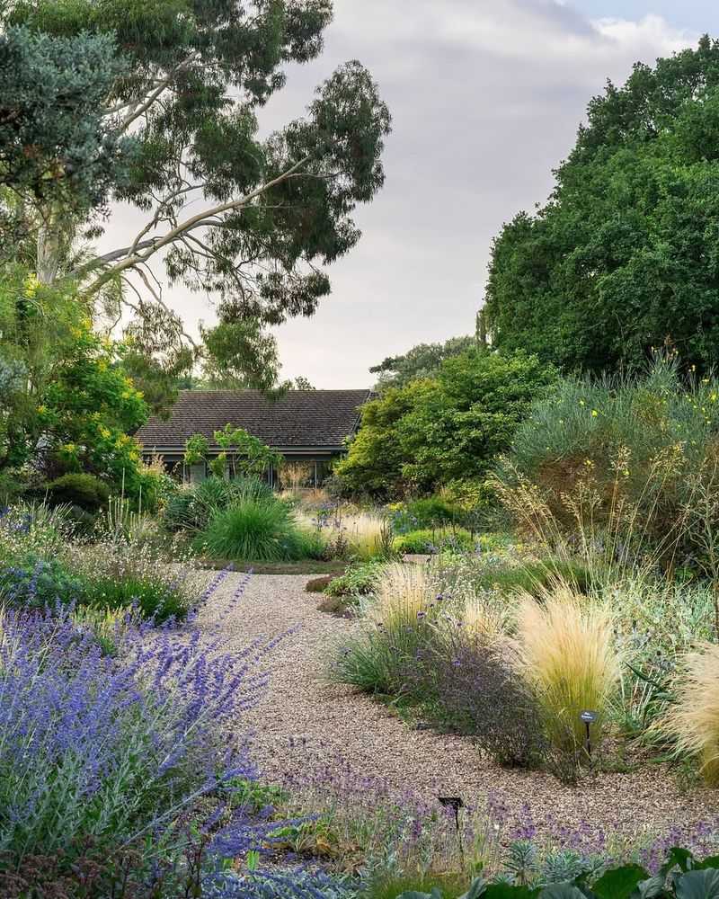 Drought Restrictions Compliance