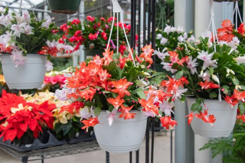 Why This Simple Homemade Boost Works Faster Than Most Store-Bought Fixes