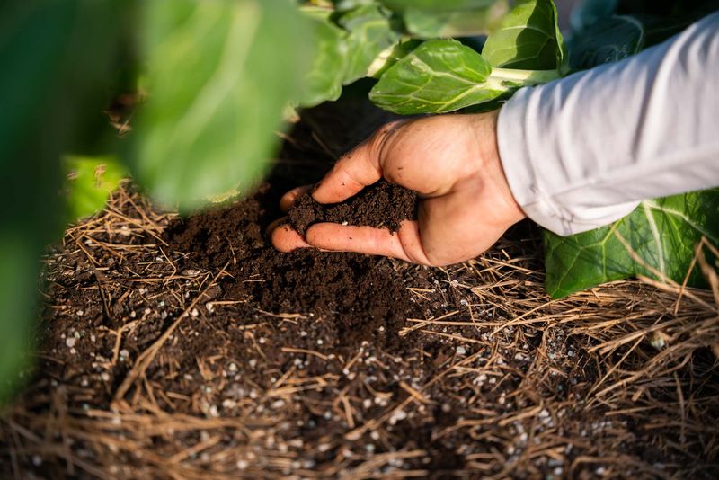Nutrient Release Enriches Soil For Spring Planting Season