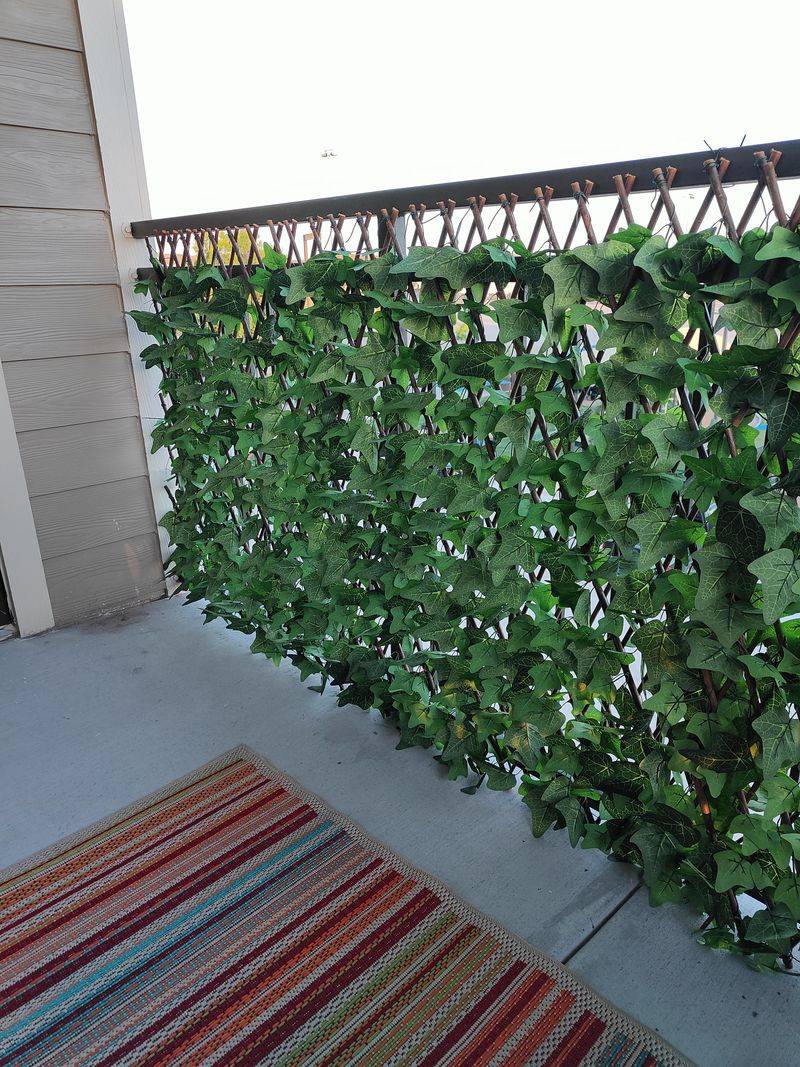 Add Privacy Screens With Climbing Plants