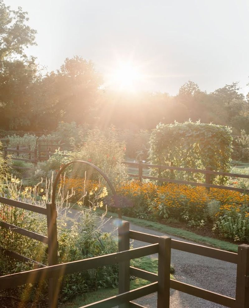 Reconfigure Garden Zones By Sun Exposure