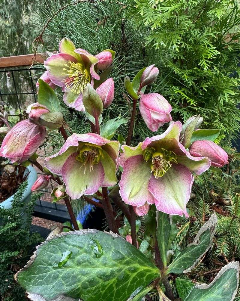 Low Maintenance Requirements Save Time