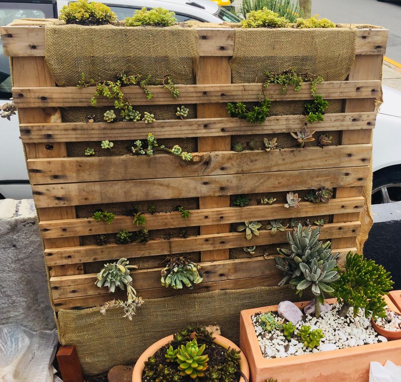 Sustainable Recycling Project