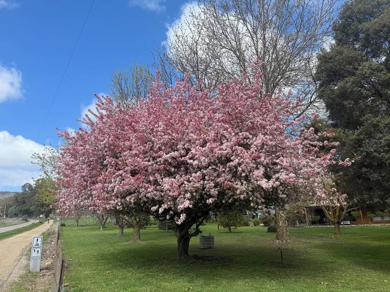 Increases Property Value And Curb Appeal