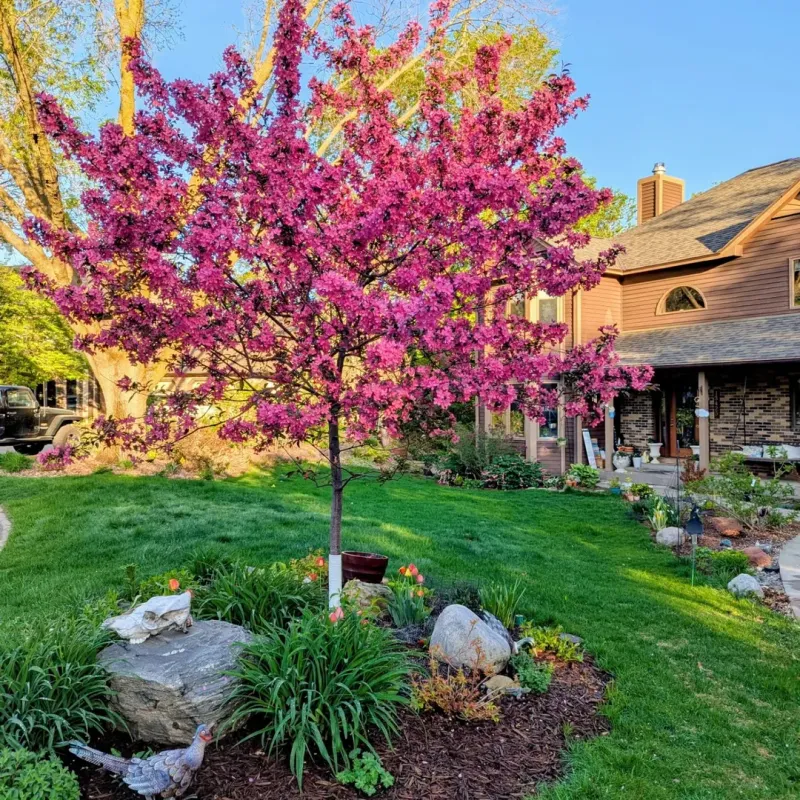 Low Maintenance Requirements Save Time