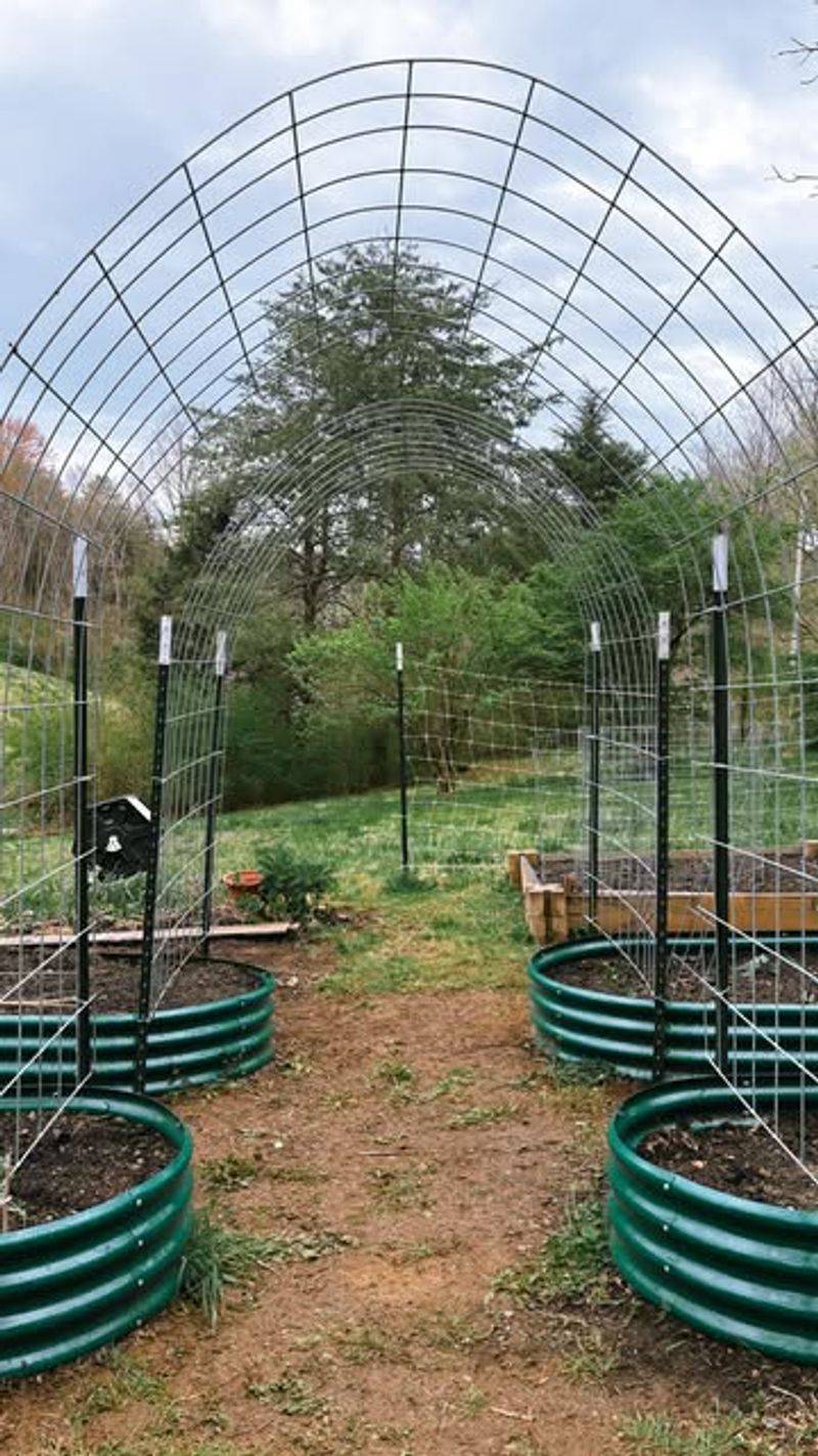 Build Vertical Growing Structures for Climbing Plants