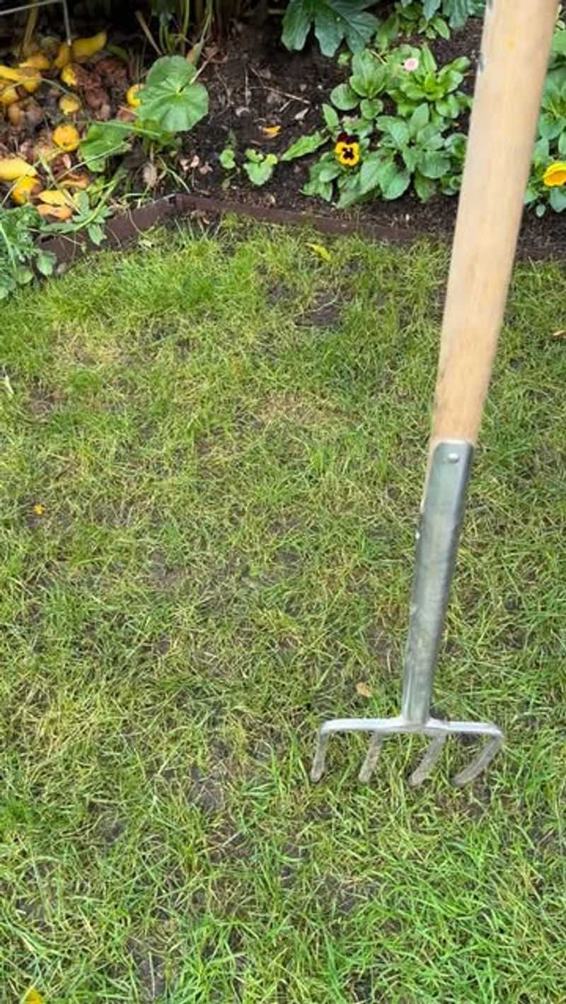 Long-Handled Weed Puller