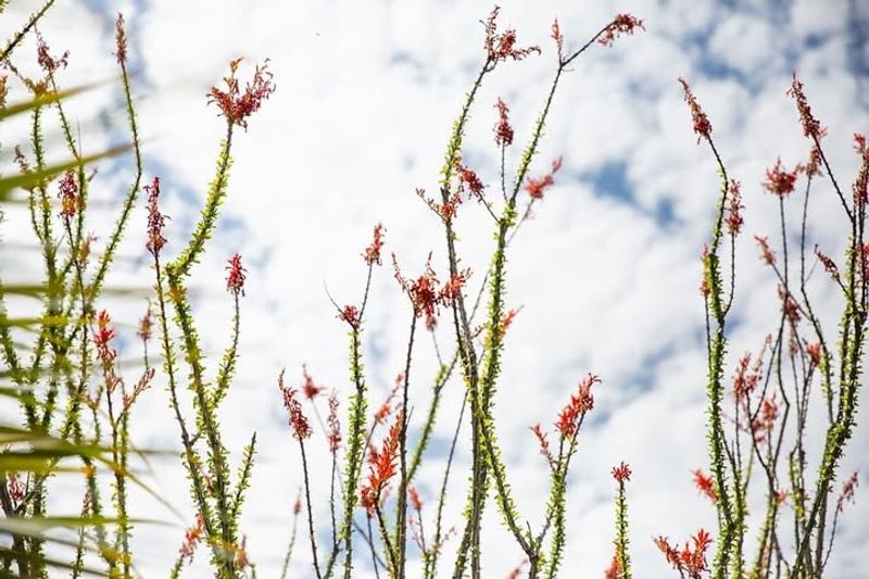 Climate Variability And Weather Swings