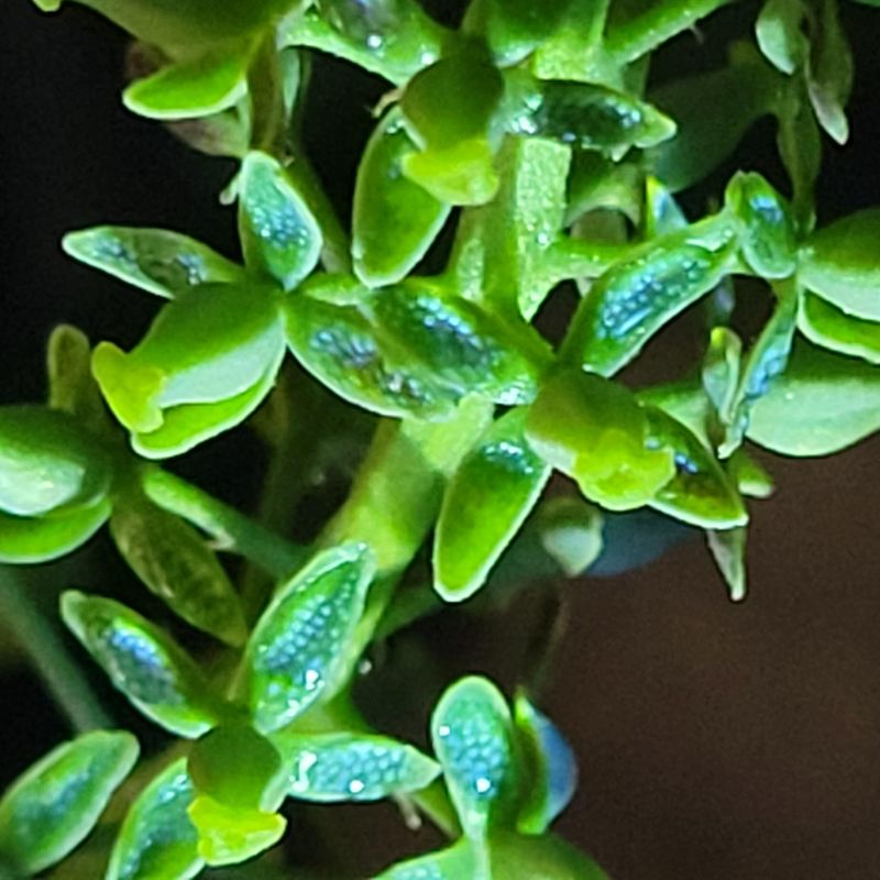 Unique Curb Appeal Sets Properties Apart