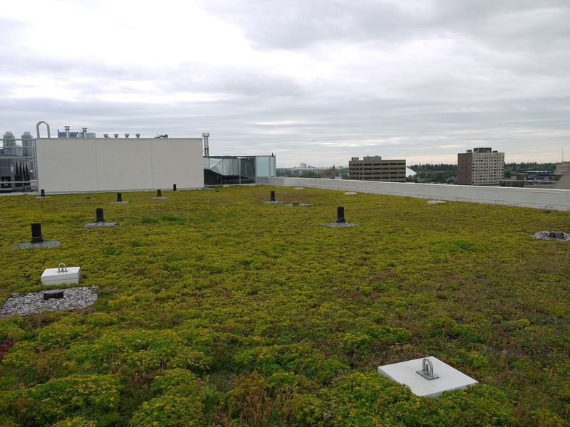 Reducing Building Energy Consumption