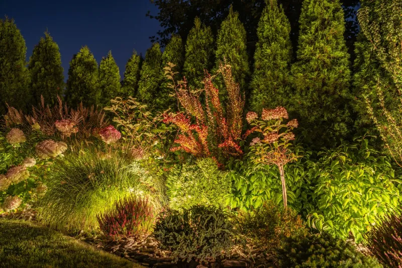 Offers Privacy Through Strategic Planting