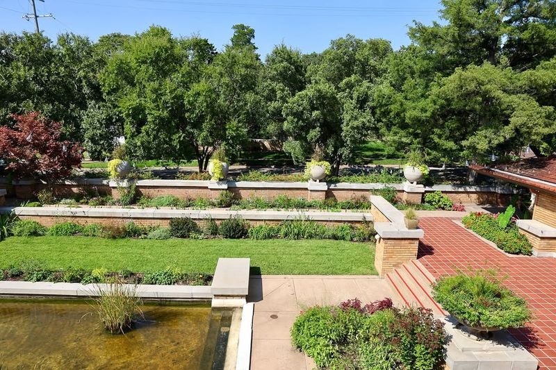 Native Kansas Plants Demonstrate Regional Beauty