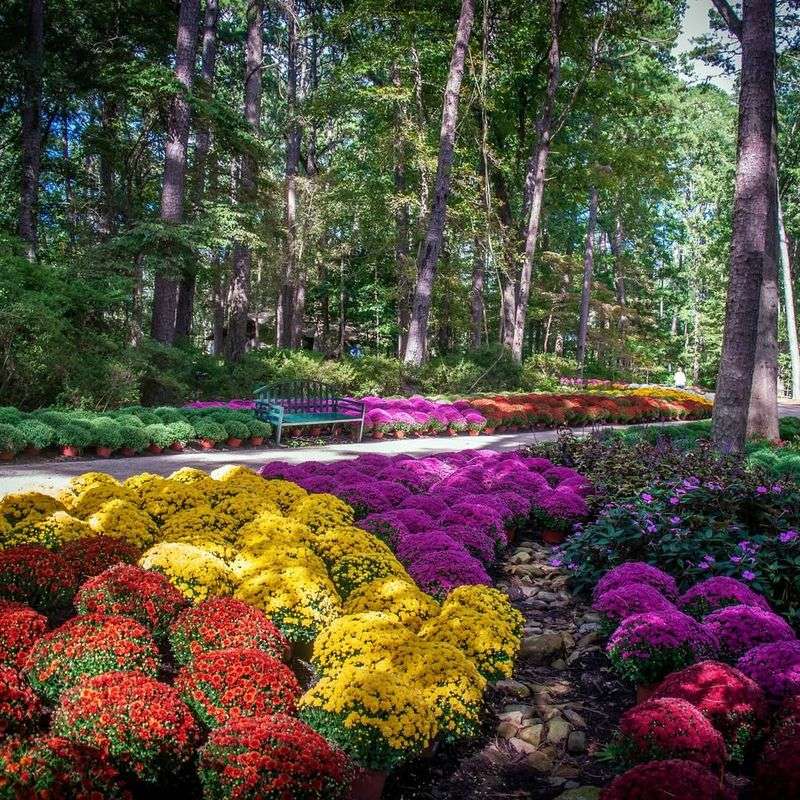 Educational Workshops and Gardening Classes for All Ages