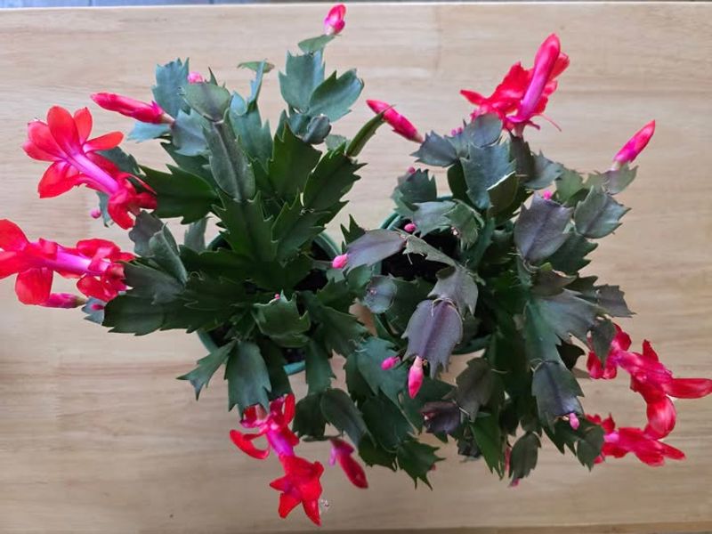 Cold Drafts From Windows And Doors