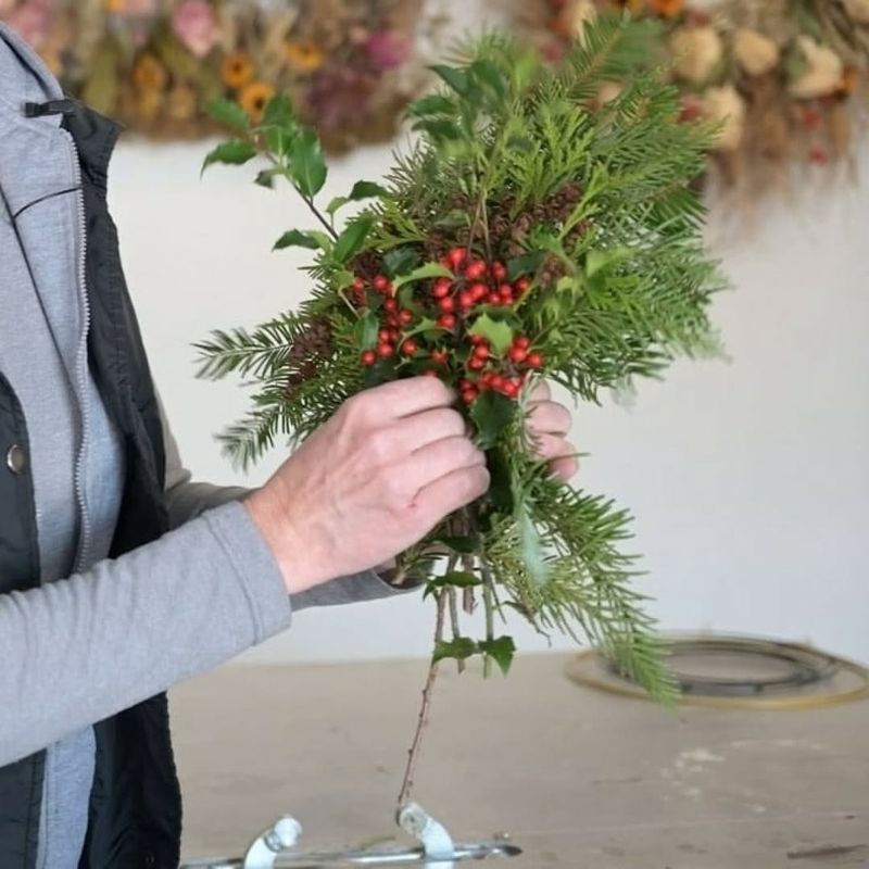 High Altitude Effects On Plant Moisture