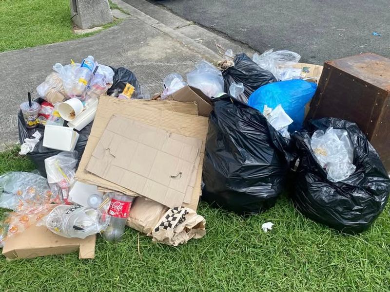 Disturbed Garbage Cans And Scattered Trash