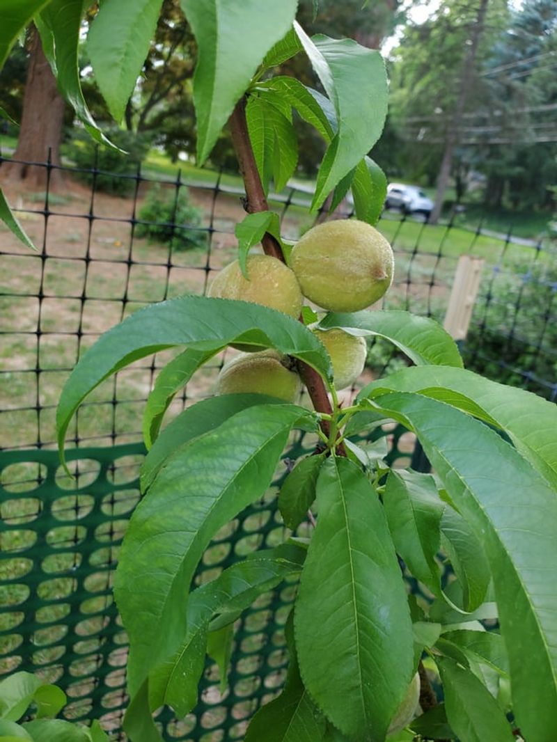 Permission Makes Everything Easier