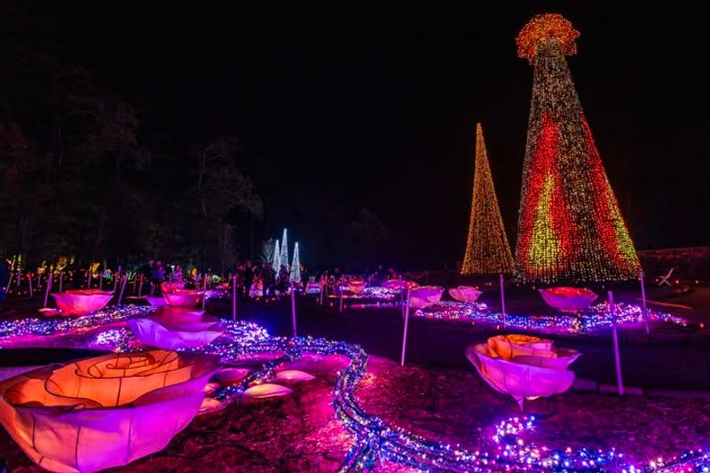 Spectacular Holiday Lights Display During Winter Months