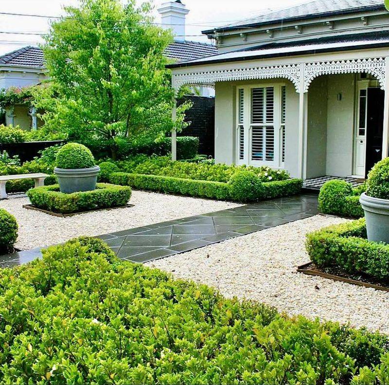 Design A Boxwood And Gardenia Combination