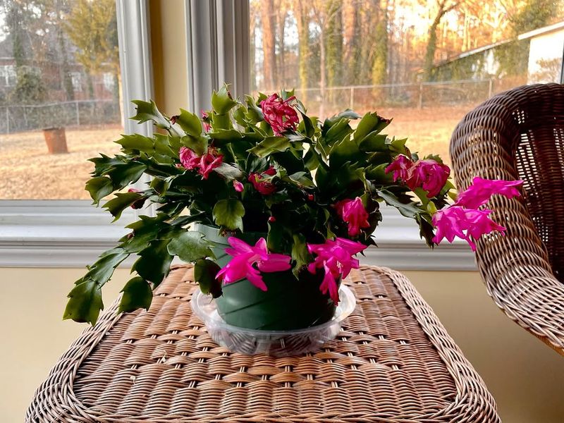 Ensure Proper Temperature And Avoid Drafts