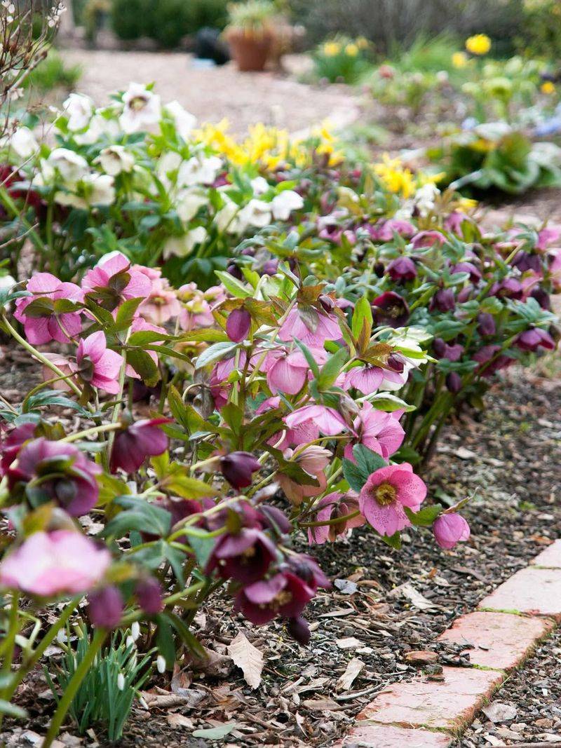 Protect From Harsh Winds With Strategic Barriers