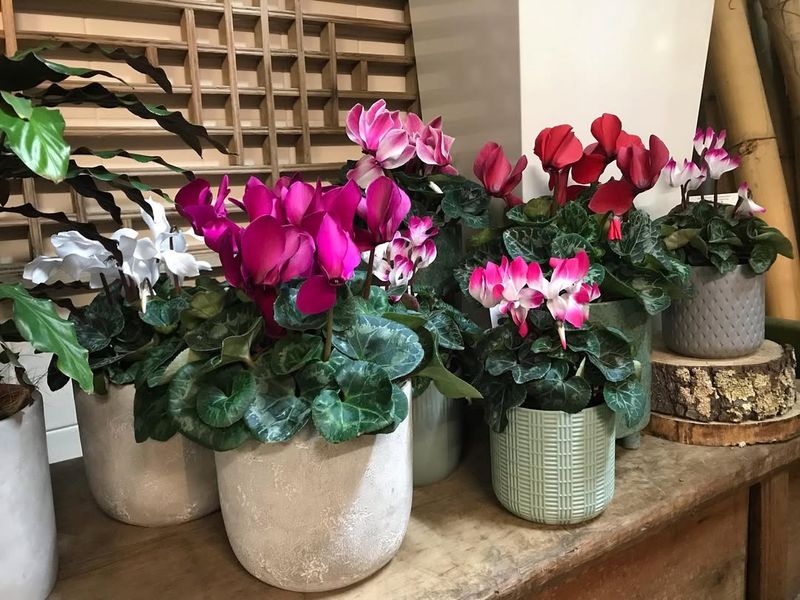 Ensure Proper Air Circulation