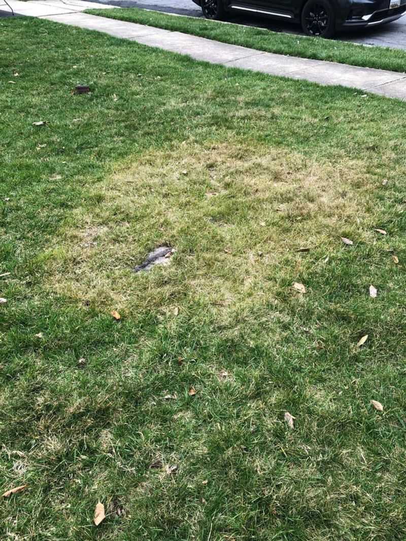 Environmental Concerns Are Growing