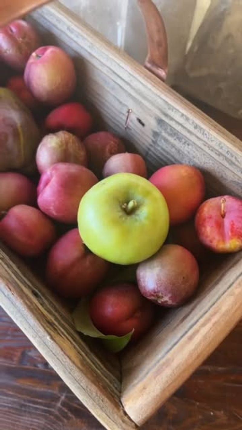 Placing Them Near Ripening Fruit