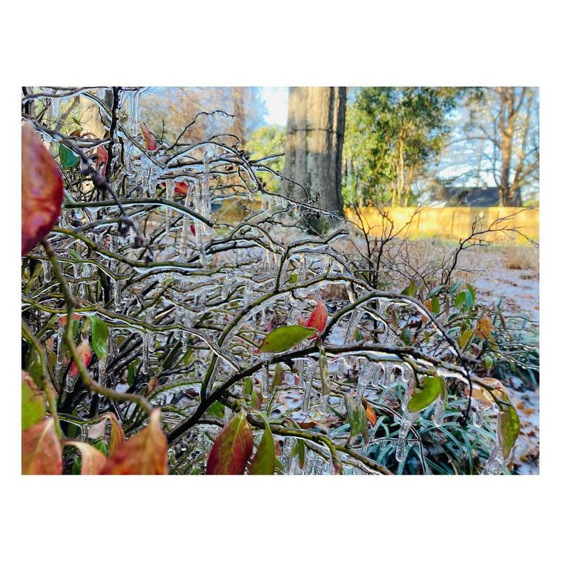 Neglecting To Check For Ice Damage After Storms