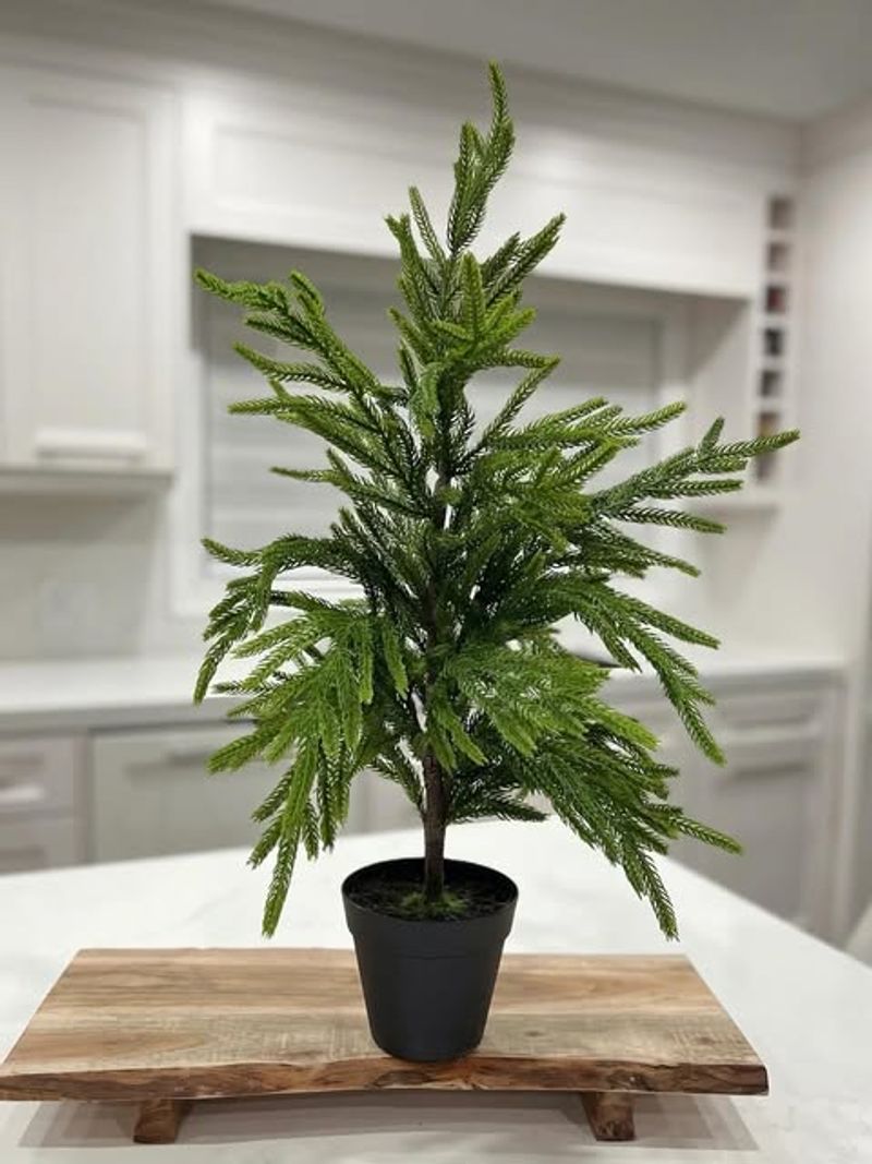 Regular Inspection Catches Problems Early