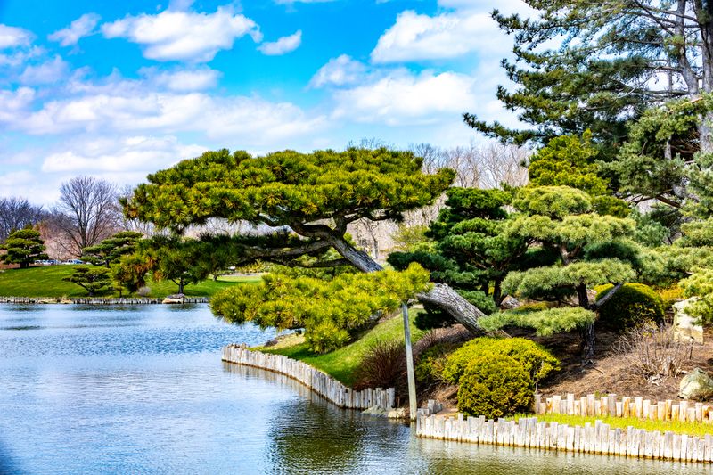 Winter Bird Watching Reveals Species You Won't See Other Seasons